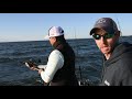 How To Troll for Fall Chesapeake Bay Rockfish and Bluefish
