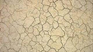 sonohra buscando el amor (L´amore)