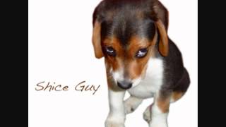 Cover art for Shice Guy