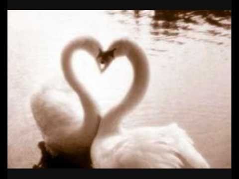 download lagu mp3 mp4 Voor Een Dag Van Morgen, download lagu Voor Een Dag Van Morgen gratis, unduh video klip Voor Een Dag Van Morgen