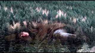 Bothy (Under the Skin soundtrack )