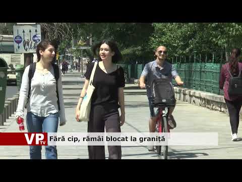 Fără cip, rămâi blocat la graniță