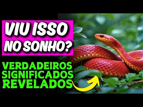 🚨ALERTA🚨 O QUE SIGNIFICA SONHAR COM COBRA VERMELHA E O QUE SE DEVE FAZER APÓS TER ESSE SONHO
