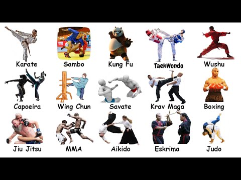 All Martial Arts EXPLAINED: History, Techniques, and Interesting Facts!