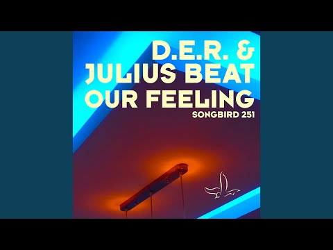 Our Feeling (Stripwalker vs Thomas Penton Remix)