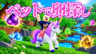 ペットに乗って広大なワールドから超レアな卵を見つけてくるゲームが楽しい【ROBLOX】