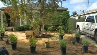 Find Innovative Designs for a Masterpiece Garden