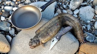 Catch and Cook this UGLY Eel....?