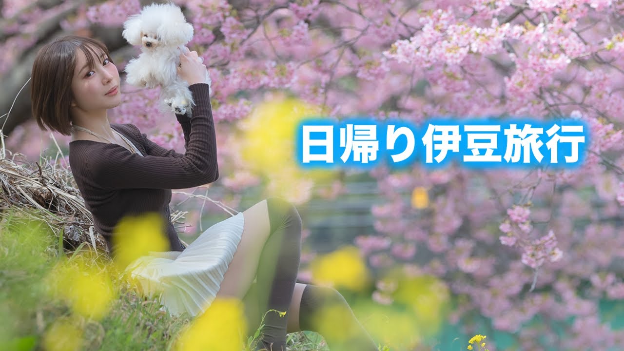 愛犬とカメラと一緒に伊豆で河津桜をみてきました🌸