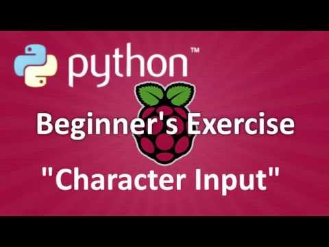 Python Beginners Exercise Character Input