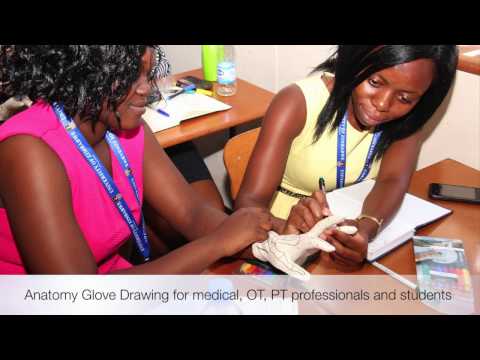 Anatomy Glove in Zimbabwe