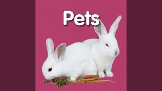 Had a Little Rooster