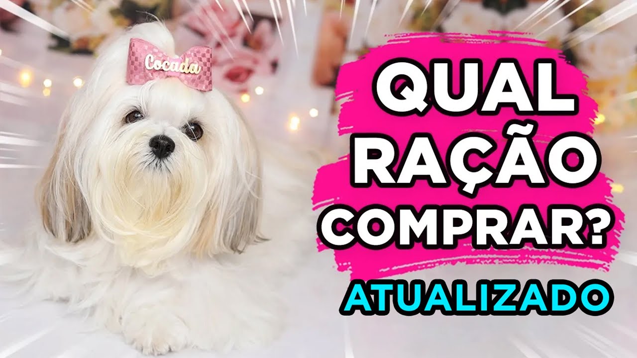 QUAL RAÇÃO MINHA SHIH TZU COME ATUALIZADO 2023