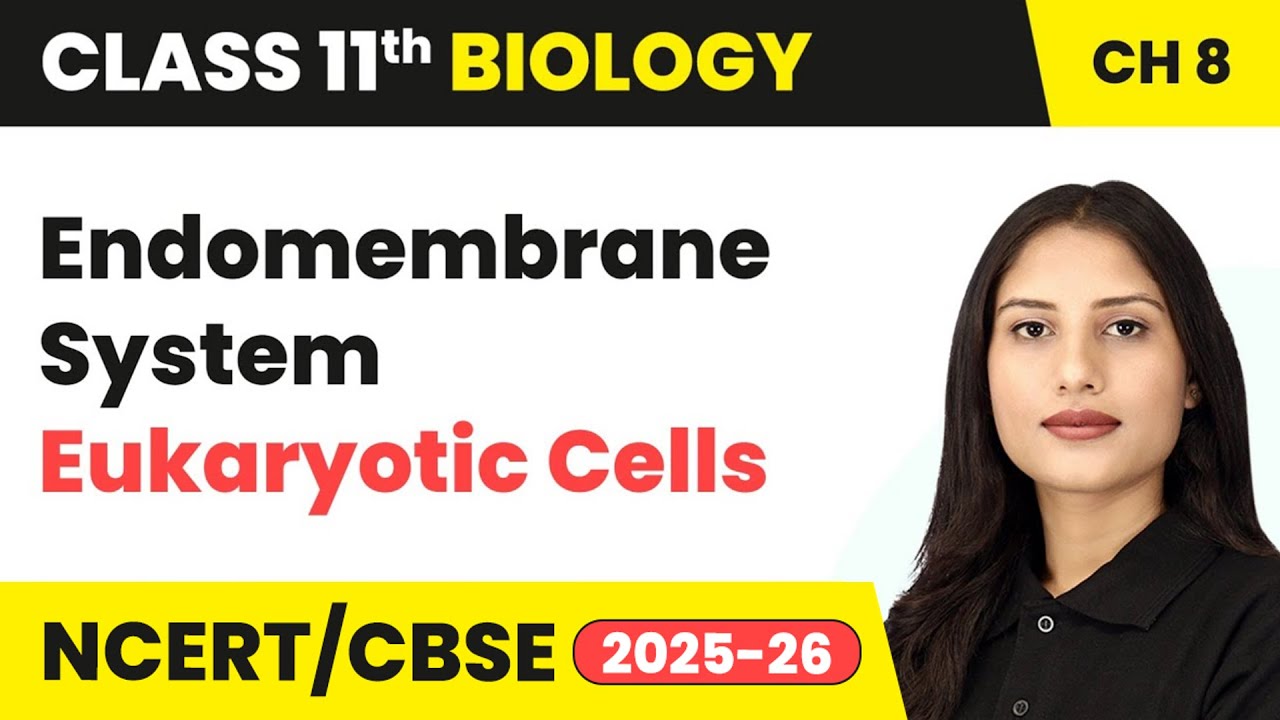 Endomembrane System - Eukaryotic Cells | Class 11 Biology Chapter 8 | CBSE 2024-25