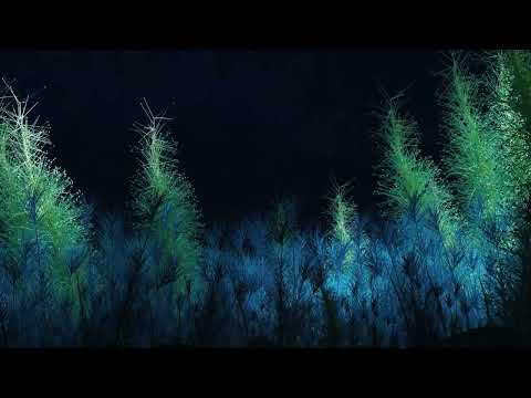 Ezequiel Arias, Nacho Varela & Cruz Vittor - Blue Sphere (Official Visualizer)