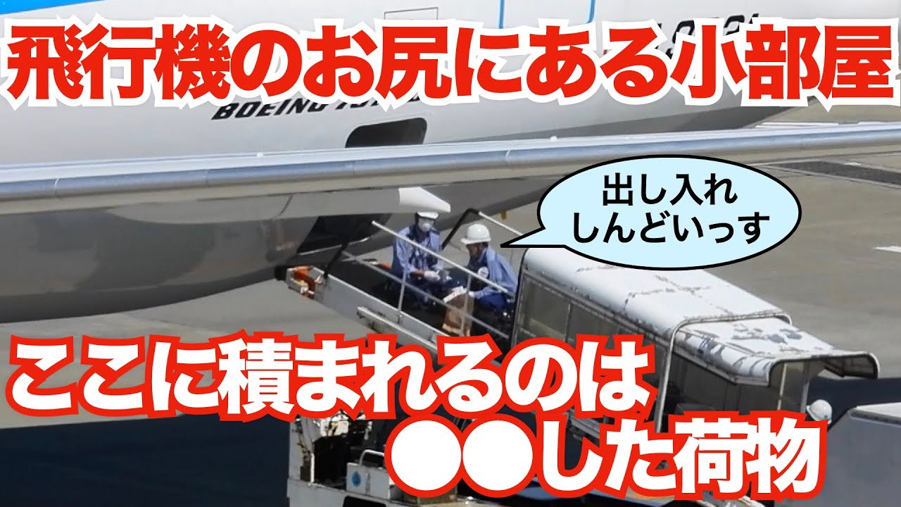 飛行機搭乗時に預けた手荷物 | ●●●な荷物はお尻の小部屋へレッツゴー | ANA最新鋭機ボーイング787-10のばら積み貨物スペース（バルク室）