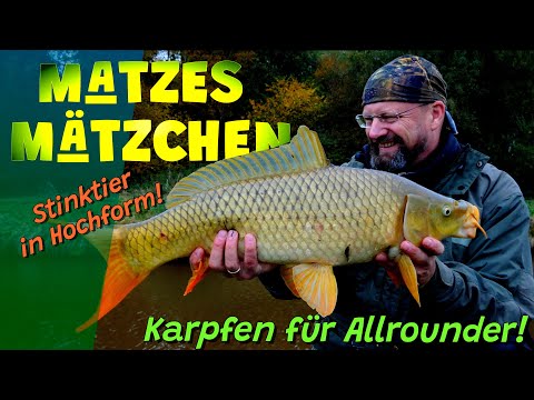 Matze's Antics - Carp for All-Rounders