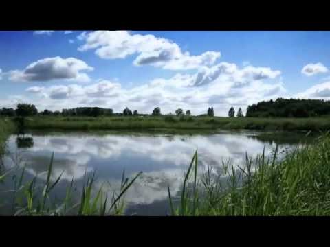 Phidias - Melanocorypha [FAUXPAS007]