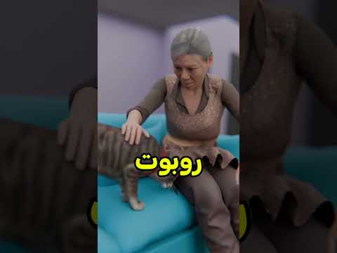 قطتي انسرقت مني !! 🤯 #shortvideo