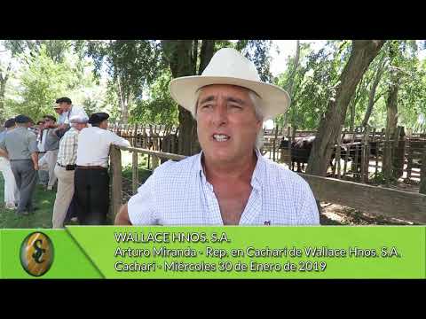 30-01-19 - Arturo Miranda - Representante de Wallace Hnos. S.A.  en Cacharí
