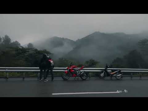 รวมบทเพลงเพราะๆ ไว้ฟังระหว่างเดินทาง 🎼 อินดี้โฟล์ค ชวนคิดถึงธรรมชาติและใครคนนึง ฟังสบายๆ 🌳💚