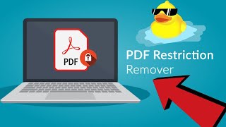 How do you remove permissions from a PDF File?