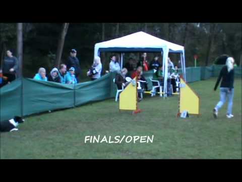 Catch (FLYING PAWS SO CATCH ME) AGILITY FLAVIA SOLVA