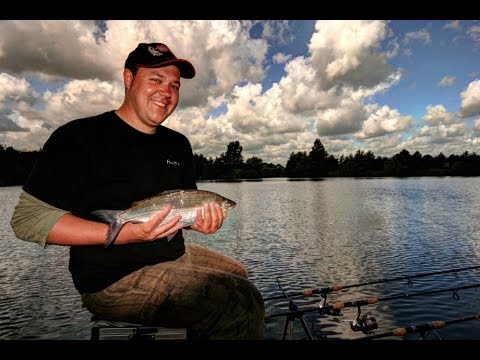 Matze Koch: Feeder lesson with a Spezi - Matze's OLD antics