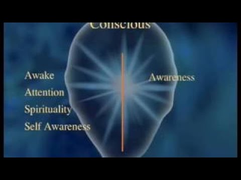 The Primacy of Consciousness (Documentary Science)