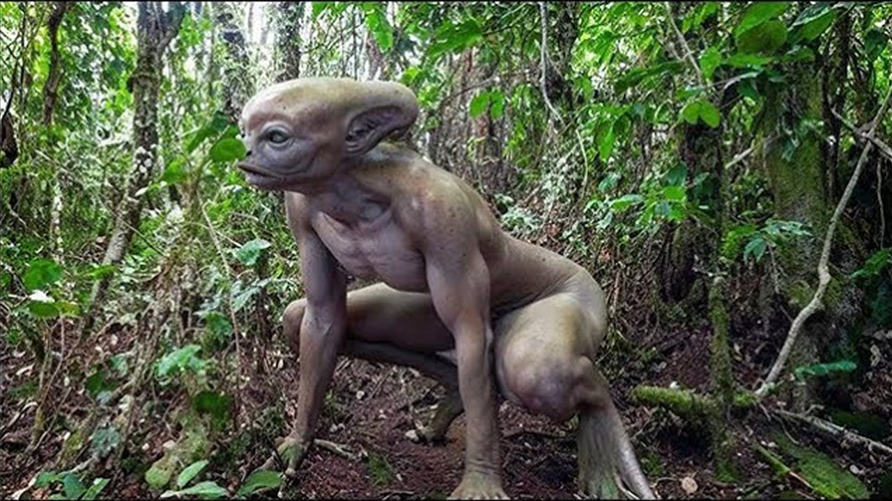 20 Terrifying Things Found In The Amazon Rainforest