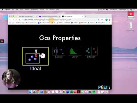 Emergency Phet Gas Simulation Help Now
