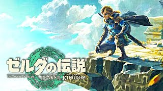 世界待望の約束された神ゲー『 ゼルダの伝説 ティアーズ オブ ザ キングダム』