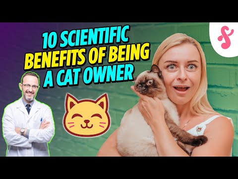 💊 Top 10 Scientific Benefits of Being a Cat Owner | Furry Feline Facts⚕️