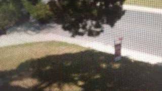 Another White Dash House Tribute...