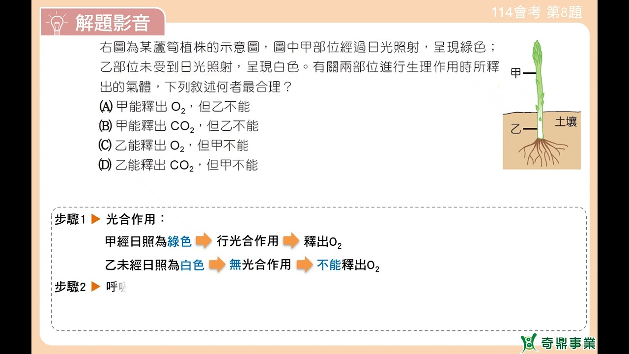 P.104 單元5 114會考第8題
