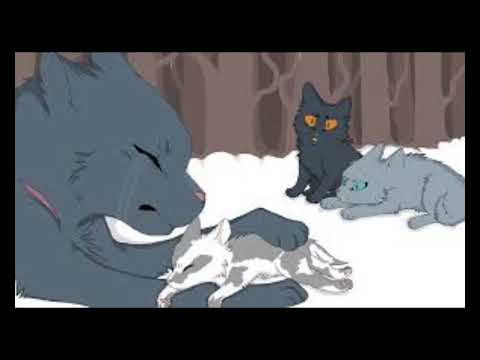 Top 7 most sad warrior cats kit deaths