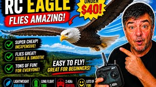 Cheap RC Eagle Glider | Easy to Fly & Surprisingly Realistic