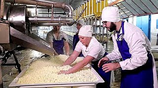 How Cheese is ACTUALLY Made // Inside a Cheese Factory
