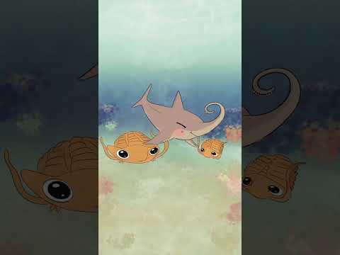 Thanks for petting the Helicoprion! #paleontology #helicoprion #trilobite #animation