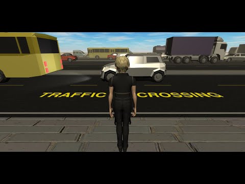 Traffic Crossing