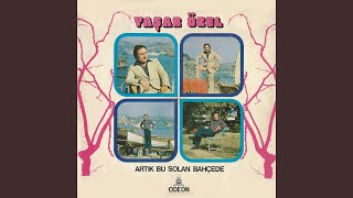 Meyhanelerde AkÅŸam