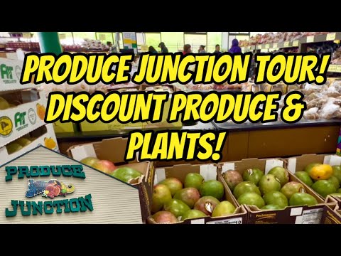 Produce Junction