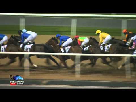 29.01.2015 Meydan (Dubai/UAE) 5.Race EGA Casthouse Trophy - Handicap 1.400 m