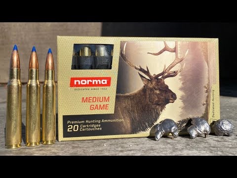 Norma Bondstrike 30-06