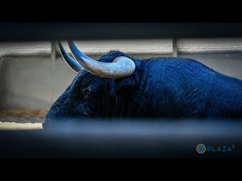 SORTEO | Corrida mixta 13 mayo, M.G. Cortés Moura y Montalvo