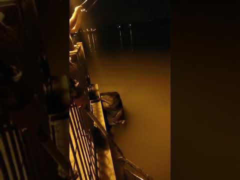 John Gold catching and losing a 3 feet American eel at pier 4 gazebo. .