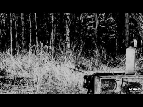 Deergod - just waking up...