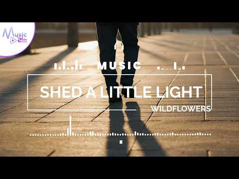 Shed a Little Light - Wildflowers FEAT. SARAH PUMPHREY [Lyrics, HD] Acoustic Music, Sentimental, Sad