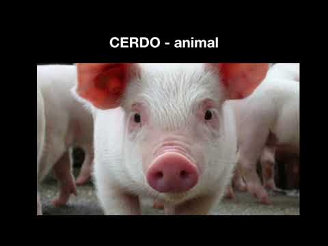 Y tú, haces un buen uso de las palabras