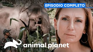 Thumbnail del capítulo